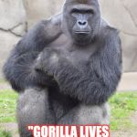 Harambe | HARAMBE SAYS; "GORILLA LIVES MATTER !!!" | image tagged in harambe | made w/ Imgflip meme maker