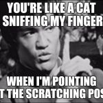 Paraphrased  | YOU'RE LIKE A CAT SNIFFING MY FINGER; WHEN I'M POINTING AT THE SCRATCHING POST | image tagged in one bruce lee | made w/ Imgflip meme maker