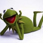 KERMIT the frog