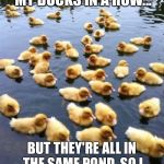 Ducklings  | I DON'T HAVE ALL OF MY DUCKS IN A ROW... BUT THEY'RE ALL IN THE SAME POND, SO I HAVE THAT GOING FOR ME. | image tagged in ducklings | made w/ Imgflip meme maker