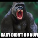 silverback gorilla | MY BABY DIDN'T DO NUFFIN! | image tagged in silverback gorilla | made w/ Imgflip meme maker
