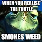 Finding Nemo turtle | WHEN YOU REALISE THE TURTLE; SMOKES WEED | image tagged in finding nemo turtle | made w/ Imgflip meme maker