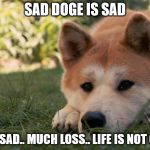 When that special person isn't there anymore :( | SAD DOGE IS SAD; MUCH SAD.. MUCH LOSS.. LIFE IS NOT OKAY.... | image tagged in sad doge,emotional,sad | made w/ Imgflip meme maker