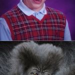 BLB | FALLS INTO GORILLA ENCLOSURE IN OHIO ZOO; "RUN! GOD HELP US IT'S BAD LUCK BRIAN!!!" | image tagged in blb | made w/ Imgflip meme maker