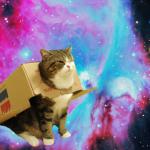 Space cat with box meme