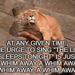 sleeping lion | AT ANY GIVEN TIME, THE URGE TO SING “THE LION SLEEPS TONIGHT” IS JUST A WHIM AWAY A WHIM AWAY, A WHIM AWAY, A WHIM AWAY… | image tagged in sleeping lion | made w/ Imgflip meme maker