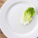 Single Leaf of Lettuce meme