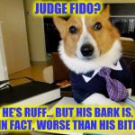 Lawyer dog | JUDGE FIDO? HE'S RUFF... BUT HIS BARK IS, IN FACT, WORSE THAN HIS BITE. | image tagged in lawyer dog | made w/ Imgflip meme maker