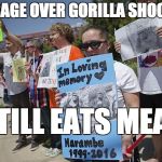 Harambe | OUTRAGE OVER GORILLA SHOOTING; STILL EATS MEAT | image tagged in harambe | made w/ Imgflip meme maker