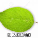 Leafy | HE IS AN ACORN | image tagged in leafy | made w/ Imgflip meme maker