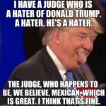 Donald Trump is an Idiot | I HAVE A JUDGE WHO IS A HATER OF DONALD TRUMP. A HATER. HE'S A HATER. THE JUDGE, WHO HAPPENS TO BE, WE BELIEVE, MEXICAN, WHICH IS GREAT. I THINK THAT'S FINE. | image tagged in donald trump is an idiot | made w/ Imgflip meme maker
