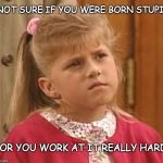 Full House | NOT SURE IF YOU WERE BORN STUPID; OR YOU WORK AT IT REALLY HARD | image tagged in full house | made w/ Imgflip meme maker