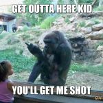GORILLAS IN THE CROSSHAIRS | GET OUTTA HERE KID; YOU'LL GET ME SHOT | image tagged in gorilla flipping bird,zoo,kids,don't shoot | made w/ Imgflip meme maker