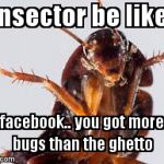 Insector | Insector be like:; facebook.. you got more bugs than the ghetto | image tagged in insector | made w/ Imgflip meme maker