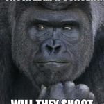Handsome Gorilla | IF I THROW MY KID ONSTAGE AT A CONCERT, WILL THEY SHOOT JUSTIN BIEBER? | image tagged in handsome gorilla | made w/ Imgflip meme maker