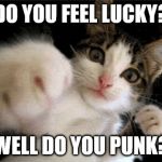 Catboxer | DO YOU FEEL LUCKY? WELL DO YOU PUNK? | image tagged in catboxer | made w/ Imgflip meme maker