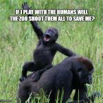 Gorilla waving | IF I PLAY WITH THE HUMANS WILL THE ZOO SHOOT THEM ALL TO SAVE ME? | image tagged in gorilla waving | made w/ Imgflip meme maker