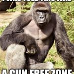 Harambe is going to need a 'Safe Place' and a Shitload of Counseling  | I WAS TOLD THIS WAS; A GUN FREE ZONE | image tagged in harambe,gun free zone | made w/ Imgflip meme maker