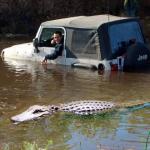 Croc Jeep