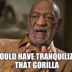 bill cosby | I COULD HAVE TRANQUILIZED THAT GORILLA | image tagged in bill cosby | made w/ Imgflip meme maker