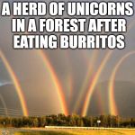 oh you silly unicorns.... | A HERD OF UNICORNS IN A FOREST AFTER EATING BURRITOS | image tagged in multiple rainbows,unicorns,meme | made w/ Imgflip meme maker