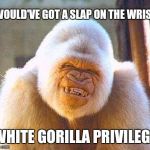 Zoonanigans!  | I WOULD'VE GOT A SLAP ON THE WRIST; WHITE GORILLA PRIVILEGE | image tagged in whit gorrila smile | made w/ Imgflip meme maker