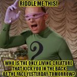 Riddle Me This! | RIDDLE ME THIS! WHO IS THE ONLY LIVING CREATURE THAT KICK YOU IN THE BACK OF THE FACE YESTERDAY TOMORROW? | image tagged in the riddler,funny,batman,memes,dc comics | made w/ Imgflip meme maker