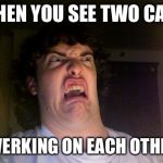 Oh No | WHEN YOU SEE TWO CATS; TWERKING ON EACH OTHER. | image tagged in oh no | made w/ Imgflip meme maker