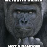 Handsome Gorilla | I SAID THROW ME JUSTIN BIEBER; NOT A RANDOM KID | image tagged in handsome gorilla | made w/ Imgflip meme maker