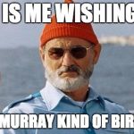 Bill Murray wishes you a happy birthday | THIS IS ME WISHING YOU; A BILL MURRAY KIND OF BIRTHDAY | image tagged in bill murray wishes you a happy birthday | made w/ Imgflip meme maker