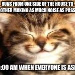 Happy Cat  | RUNS FROM ONE SIDE OF THE HOUSE TO THE OTHER MAKING AS MUCH NOISE AS POSSIBLE; AT 3:00 AM WHEN EVERYONE IS ASLEEP | image tagged in happy cat | made w/ Imgflip meme maker