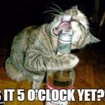 cat opening liquor bottle with mouth | IS IT 5 O'CLOCK YET?!? | image tagged in cat opening liquor bottle with mouth | made w/ Imgflip meme maker