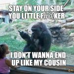 Gorilla Flipping Bird | STAY ON YOUR SIDE YOU LITTLE F#@KER; I DON'T WANNA END UP LIKE MY COUSIN | image tagged in gorilla flipping bird | made w/ Imgflip meme maker