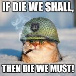 Sgt. Kittycat | IF DIE WE SHALL, THEN DIE WE MUST! | image tagged in war cat | made w/ Imgflip meme maker