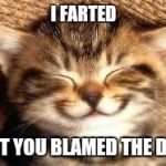 Happy Cat  | I FARTED; BUT YOU BLAMED THE DOG | image tagged in happy cat | made w/ Imgflip meme maker