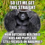 Gorilla headache | SO LET ME GET THIS STRAIGHT; MOM BUTCHERS HER THREE KIDS AND PEOPLE ARE STILL FOCUSED ON HARAMBE? | image tagged in gorilla headache,stupid people | made w/ Imgflip meme maker