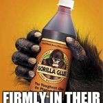 Gorilla glue | KEEPS KIDS; FIRMLY IN THEIR STROLLER | image tagged in gorilla glue | made w/ Imgflip meme maker