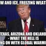 stupid donald trump pressumptive American President Hi-Rez | SNOW AND ICE, FREEZING WEATHER, IN TEXAS, ARIZONA AND OKLAHOMA - WHAT THE HELL IS GOING ON WITH GLOBAL WARMING? | image tagged in stupid donald trump pressumptive american president hi-rez | made w/ Imgflip meme maker