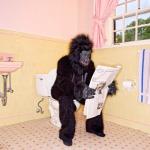 gorilla restroom meme