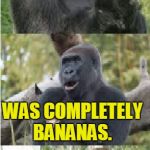 Bad Pun Gorilla | THE SITUATION AT THE ZOO; WAS COMPLETELY BANANAS. | image tagged in bad pun gorilla,memes,gorilla,banana,bananas,bad pun | made w/ Imgflip meme maker