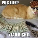 Thug life | PUG LIFE? YEAH RIGHT. | image tagged in thug life,scumbag | made w/ Imgflip meme maker
