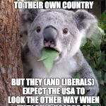 WTF Koala | MEXICO SEVERELY PROSECUTES ILLEGAL IMMIGRATION TO THEIR OWN COUNTRY BUT THEY (AND LIBERALS) EXPECT THE USA TO LOOK THE OTHER WAY WHEN THEY S | image tagged in wtf koala | made w/ Imgflip meme maker