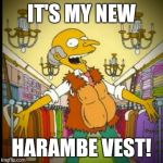 Harambe vest | IT'S MY NEW; HARAMBE VEST! | image tagged in harambe vest | made w/ Imgflip meme maker