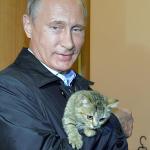 PUTIN CAT PUSSY