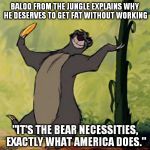Baloo Jungle Book | BALOO FROM THE JUNGLE EXPLAINS WHY HE DESERVES TO GET FAT WITHOUT WORKING; "IT'S THE BEAR NECESSITIES, EXACTLY WHAT AMERICA DOES." | image tagged in baloo jungle book,toowad,socialism | made w/ Imgflip meme maker