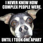 I NEVER KNEW HOW COMPLEX PEOPLE WERE. UNTIL I TOOK ONE APART | image tagged in scared dog | made w/ Imgflip meme maker