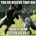 GorillaFight | YOU GO RESCUE THAT KID; I DON'T THINK SO, YOU GO DO IT | image tagged in gorillafight | made w/ Imgflip meme maker