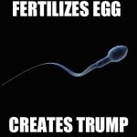 Bad Luck Sperm | FERTILIZES EGG; CREATES TRUMP | image tagged in bad luck sperm | made w/ Imgflip meme maker
