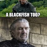 Riverrun This Game | BABY ARE YOU; A BLACKFISH TOO? | image tagged in blackfish on blackfish violence,game of thrones,goddamnit | made w/ Imgflip meme maker