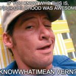 Ernest | IF YOU KNOW WHO THIS IS, YOUR CHILDHOOD WAS AWESOME; KNOWWHATIMEAN VERN? | image tagged in ernest,knowwhatimean,vern,ewwww | made w/ Imgflip meme maker